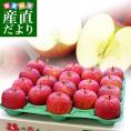 青森県より産地直送 高木商店 マルタカブランド 高木のふじりんご CA貯蔵品  大玉5キロ (16玉から18玉) 送料無料 林檎 リンゴ ※クール便