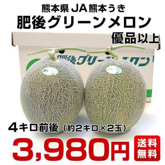 送料無料　熊本県産　JA熊本うき　肥後グリーンメロン　優以上　4キロ前後（約2キロ×2玉） 市場スポット03