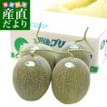 送料無料　熊本県産　JA熊本うき　肥後グリーンメロン　優以上　超盛り　8キロ原体箱（約2キロ×4玉） 市場スポット