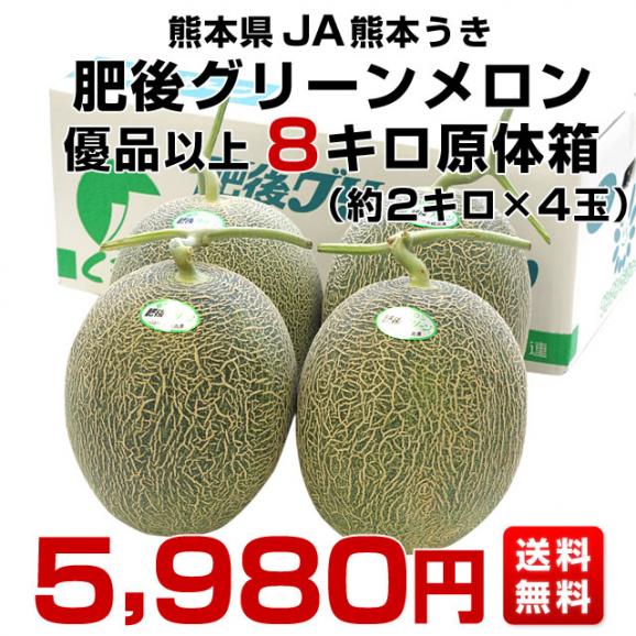 送料無料　熊本県産　JA熊本うき　肥後グリーンメロン　優以上　超盛り　8キロ原体箱（約2キロ×4玉） 市場スポット03