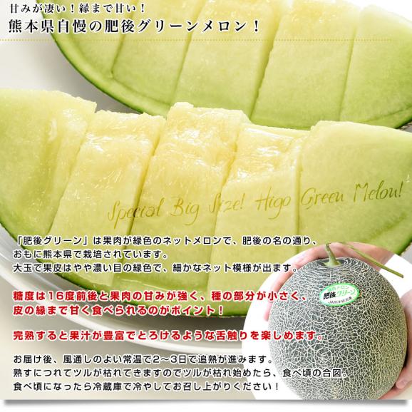送料無料　熊本県産　JA熊本うき　肥後グリーンメロン　優以上　超盛り　8キロ原体箱（約2キロ×4玉） 市場スポット04