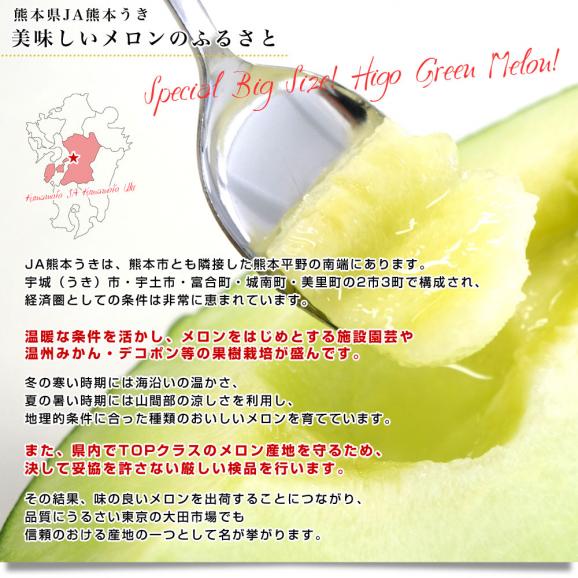 送料無料　熊本県産　JA熊本うき　肥後グリーンメロン　優以上　超盛り　8キロ原体箱（約2キロ×4玉） 市場スポット05