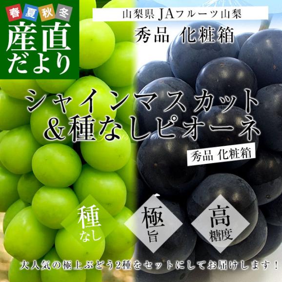 山梨県より産地直送 JAフルーツ山梨 シャインマスカット＆種なしピオーネ 2種セット 秀品 大房2房入 化粧箱 (約600g×2房）送料無料 葡萄 ぶどう お中元 夏ギフト お中元 ギフト02