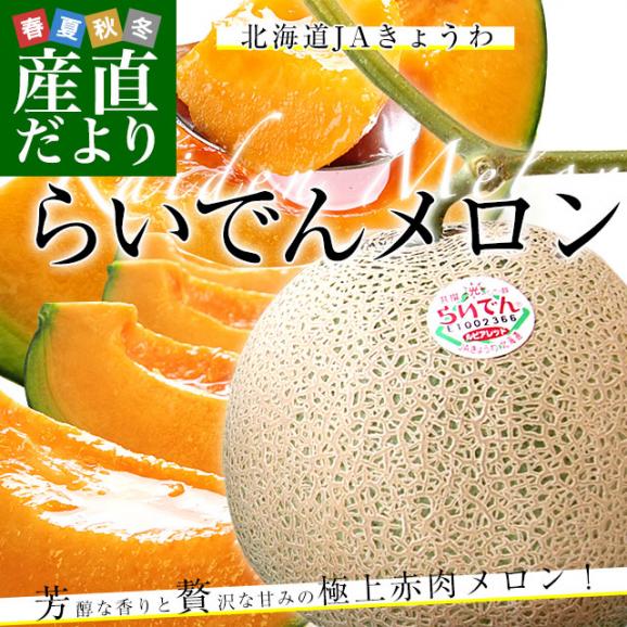 北海道JAきょうわ　らいでんメロン（赤肉）大玉2玉セット　約3キロ（1玉1.5キロ前後） 送料無料 メロン 北海道メロン ギフト 夏ギフト お中元 御中元 のし対応可02