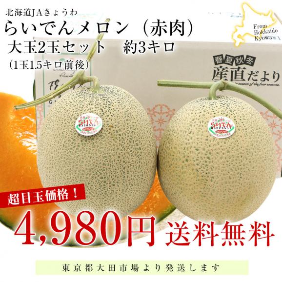 北海道JAきょうわ　らいでんメロン（赤肉）大玉2玉セット　約3キロ（1玉1.5キロ前後） 送料無料 メロン 北海道メロン ギフト 夏ギフト お中元 御中元 のし対応可03