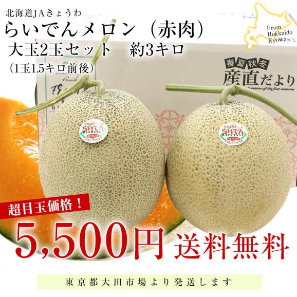 北海道産 JAきょうわ らいでんメロン（赤肉）大玉2玉セット　約3キロ（1玉1.5キロ前後） 送料無料 メロン 北海道メロン ギフト お中元03