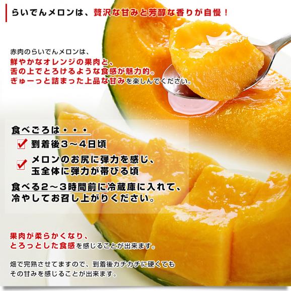北海道産 JAきょうわ らいでんメロン（赤肉）大玉2玉セット 約3キロ（1