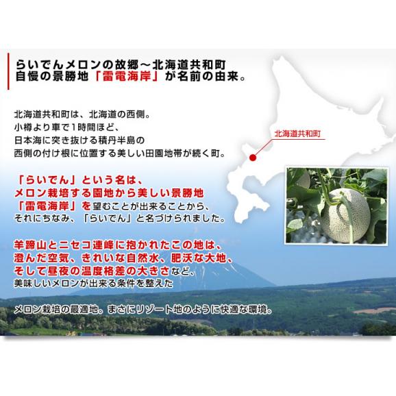 北海道JAきょうわ　らいでんメロン（赤肉）大玉2玉セット　約3キロ（1玉1.5キロ前後） 送料無料 メロン 北海道メロン ギフト 夏ギフト お中元 御中元 のし対応可06