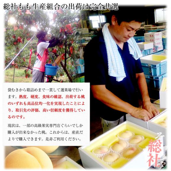 岡山県から産地直送 JA晴れの国岡山 総社もも生産部会 総社(そうじゃ)の桃　青秀以上 2キロ前後 (5玉から9玉) 総社の桃 モモ 送料無料05