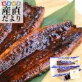 送料無料　鹿児島県志布志産　山田水産　霧島湧水の新仔うなぎ　長蒲焼き　大２尾セット（140g以上×2尾）　鰻　鰻師　加藤尚武さん