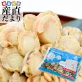 送料無料　北海道噴火湾産　ベビーホタテ　ボイル　約1キロ　帆立　ほたて