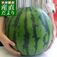 送料無料　千葉県産　JA千葉みらい　八街（やちまた）スイカ　7.5キロ以上　大玉 3Lサイズ以上　西瓜　すいか　市場スポット