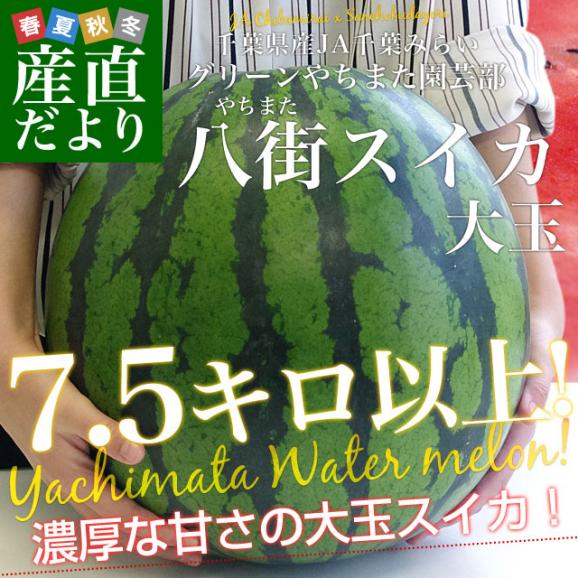 送料無料　千葉県産　JA千葉みらい　八街（やちまた）スイカ　7.5キロ以上　大玉 3Lサイズ以上　西瓜　すいか　市場スポット02