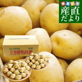 静岡県産 JAとぴあ浜松 三方原馬鈴薯（男爵） Ｓサイズ 10キロ ばれいしょ じゃがいも ジャガイモ 送料無料