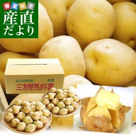 送料無料 静岡県産 JAとぴあ浜松 三方原馬鈴薯（男爵） Sサイズ 10キロ ばれいしょ じゃがいも ジャガイモ ※市場スポット