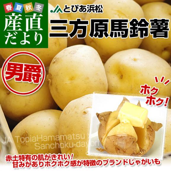 送料無料 静岡県産 JAとぴあ浜松 三方原馬鈴薯（男爵） Sサイズ 10キロ ばれいしょ じゃがいも ジャガイモ ※市場スポット02