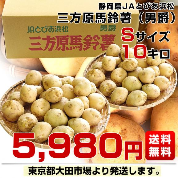 静岡県産 JAとぴあ浜松 三方原馬鈴薯（男爵） Ｓサイズ 10キロ ばれいしょ じゃがいも ジャガイモ 送料無料03