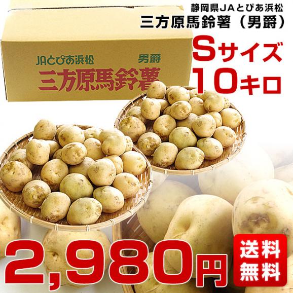 送料無料 静岡県産 JAとぴあ浜松 三方原馬鈴薯（男爵） Sサイズ 10キロ ばれいしょ じゃがいも ジャガイモ ※市場スポット03