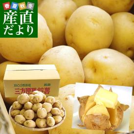 静岡県産 JAとぴあ浜松 三方原馬鈴薯（男爵） Mサイズ 10キロ ばれいしょ じゃがいも ジャガイモ 送料無料
