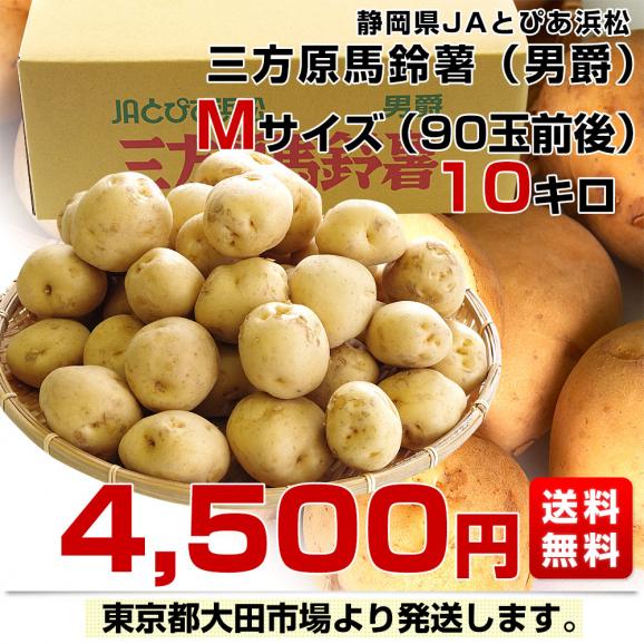 静岡県産 JAとぴあ浜松 三方原馬鈴薯（男爵） Mサイズ 10キロ ばれいしょ じゃがいも ジャガイモ 送料無料03