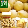 静岡県産 JAとぴあ浜松 三方原馬鈴薯（男爵） Lサイズ 10キロ ばれいしょ じゃがいも ジャガイモ 送料無料