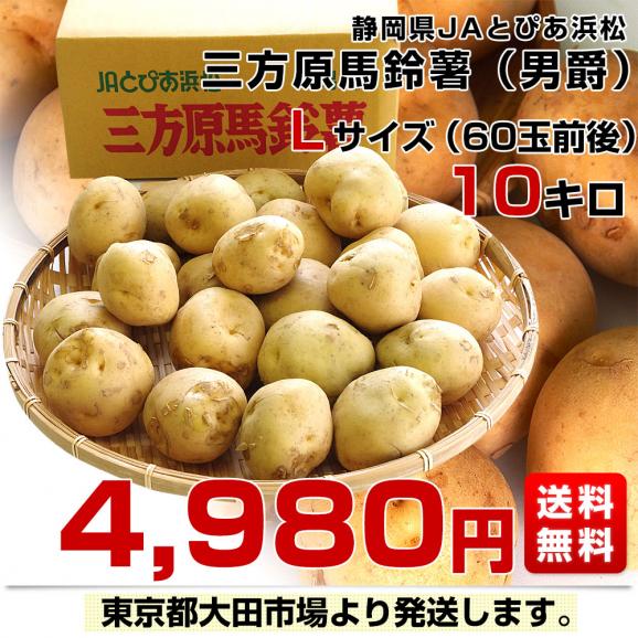 静岡県産 JAとぴあ浜松 三方原馬鈴薯（男爵） Lサイズ 10キロ ばれいしょ じゃがいも ジャガイモ 送料無料03