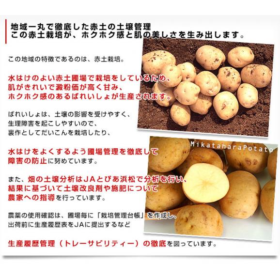 静岡県産 JAとぴあ浜松 三方原馬鈴薯（男爵） 2ＬからLサイズ 10キロ ばれいしょ じゃがいも ジャガイモ 送料無料05