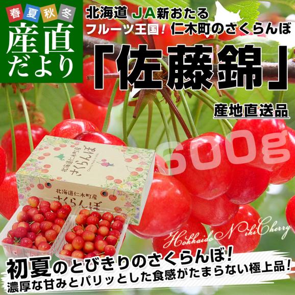 北海道から産地直送 JA新おたる 仁木町のさくらんぼ（佐藤錦） 秀品 Lサイズ 600g（300g&times;2パック入） 送料無料　サクランボ ※クール便02