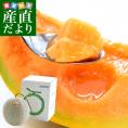 北海道より産地直送 JA夕張市 夕張メロン 秀品 1玉(1.6キロ×１玉) 送料無料ゆうばり 夕張キング めろん ギフト 夏ギフト お中元 御中元