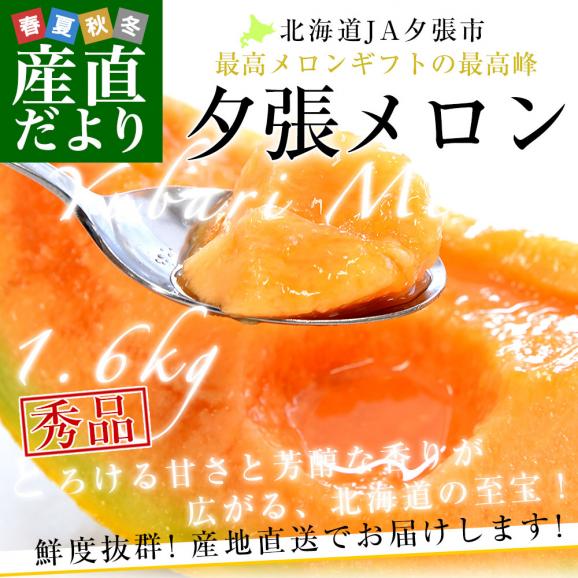 北海道より産地直送 JA夕張市 夕張メロン 秀品 1玉(1.6キロ&times;１玉) 送料無料　ゆうばり 夕張キング めろん お中元 ギフト02