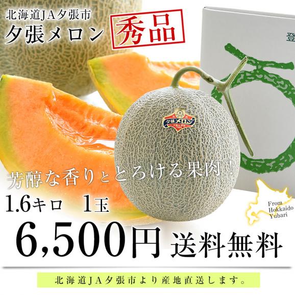 北海道より産地直送 JA夕張市 夕張メロン 秀品 1玉(1.6キロ×１玉) 送料無料ゆうばり 夕張キング めろん ギフト 夏ギフト お中元 御中元03