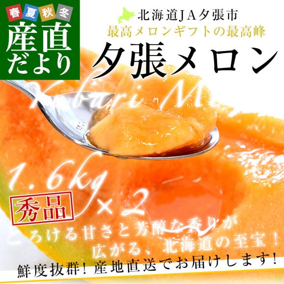 北海道より産地直送 JA夕張市 夕張メロン 秀品 2玉(1.6キロ&times;2玉) 送料無料　ゆうばり 夕張キング めろん お中元 ギフト02