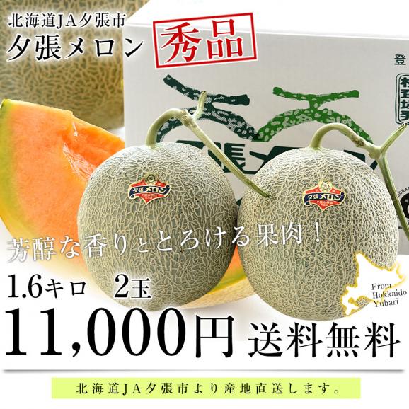 北海道より産地直送 JA夕張市 夕張メロン 秀品 2玉(1.6キロ×2玉) 送料無料ゆうばり 夕張キング めろん ギフト 夏ギフト お中元 御中元03