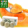 送料無料　北海道より産地直送　JA夕張市　夕張メロン　秀品　3玉　（約1.6キロ×3玉）　ゆうばりめろん　夏ギフト2019　お中元ギフト
