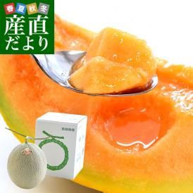 北海道より産地直送 JA夕張市 夕張メロン 優品 1玉(1.6キロ×１玉) 送料無料ゆうばり 夕張キング めろん