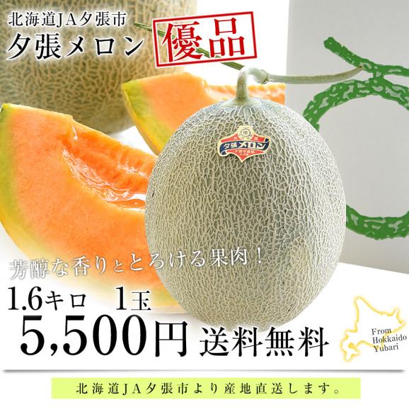 北海道より産地直送 JA夕張市 夕張メロン 優品 1玉(1.6キロ×１玉) 送料無料ゆうばり 夕張キング めろん03