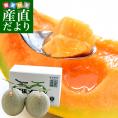 北海道より産地直送 JA夕張市 夕張メロン 優品 2玉(1.6キロ×2玉) 送料無料ゆうばり 夕張キング めろん ギフト 夏ギフト お中元 御中元
