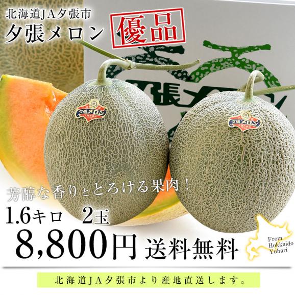 北海道より産地直送 JA夕張市 夕張メロン 優品 2玉(1.6キロ×2玉) 送料無料ゆうばり 夕張キング めろん ギフト 夏ギフト お中元 御中元03
