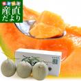 送料無料　北海道より産地直送　JA夕張市　夕張メロン　優品　3玉　（約1.6キロ×3玉）　ゆうばりめろん　夏ギフト2019