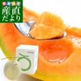 北海道より産地直送 JA夕張市 夕張メロン 良品 1玉(1.6キロ×１玉) 送料無料ゆうばり 夕張キング めろん