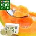 北海道より産地直送 JA夕張市 夕張メロン 良品 2玉(1.6キロ×2玉) 送料無料ゆうばり 夕張キング めろん