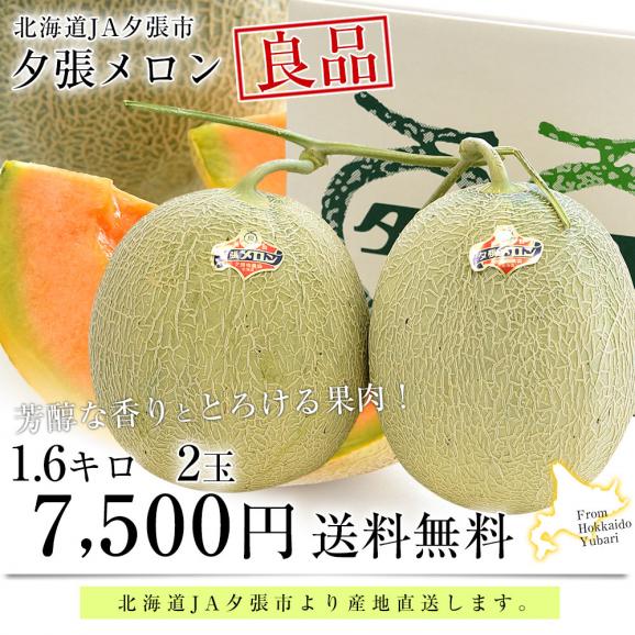 北海道より産地直送 JA夕張市 夕張メロン 良品 2玉(1.6キロ×2玉) 送料無料ゆうばり 夕張キング めろん03