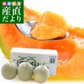 送料無料　北海道より産地直送　JA夕張市　夕張メロン　良品　3玉　（約1.6キロ×3玉）　ゆうばりめろん　夏ギフト2019