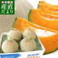 送料無料 北海道産 JAふらの 富良野メロン 4玉 合計約8キロ原体箱 優品以上 ※市場スポット