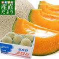 送料無料 北海道産 JAふらの 富良野メロン 5玉 合計約8キロ原体箱 優品以上 ※市場スポット