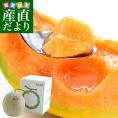 北海道より産地直送 JA夕張市 夕張メロン 秀品 1玉(1.3キロ×１玉) 送料無料ゆうばり 夕張キング めろん