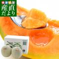 北海道より産地直送 JA夕張市 夕張メロン 秀品 2玉（1.3キロ×2玉） 送料無料ゆうばり 夕張キング めろん