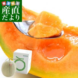 北海道より産地直送 JA夕張市 夕張メロン 優品 1玉(1.3キロ×１玉) 送料無料ゆうばり 夕張キング めろん