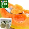 北海道より産地直送 JA夕張市 夕張メロン 優品 2玉(1.3キロ×2玉) 送料無料ゆうばり 夕張キング めろん