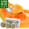 北海道より産地直送 JA夕張市 夕張メロン 優品 3玉(1.3キロ×3玉) 送料無料ゆうばり 夕張キング めろん